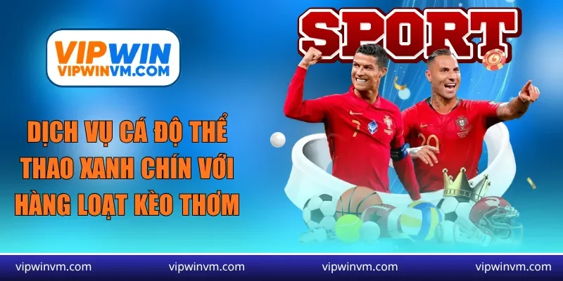 Dịch vụ cá độ thể thao xanh chín với hàng loạt kèo thơm